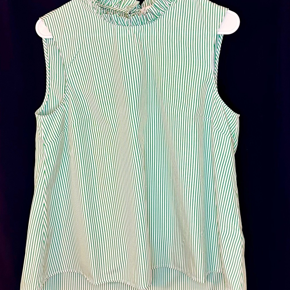 Preston and York Sleevless, White and Green Vertical Stripes A Shape Blouse S-6